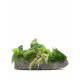 Adidas x Cactus Plant Flea Market 1 sneakers Adidas x Cactus Plant Flea Market 1 sneakers