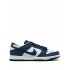 SB Zoom Dunk Low Pro "Binary Blue" sneakers