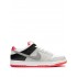SB Dunk Low "Infrared" sneakers