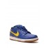 Dunk Low Pro SB sneakers