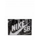SB Dunk Low "Wasted Youth - Special Box" sneakers