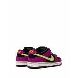 SB Dunk Low "ACG Terra- Red Plum" sneakers