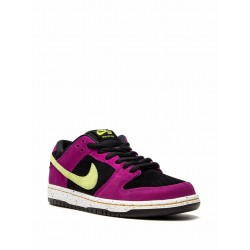 SB Dunk Low "ACG Terra- Red Plum" sneakers