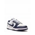 Dunk Low Retro EMB "NBA 75th Anniversary - Brooklyn Nets" sneakers