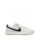 Dunk Low Retro SE "Certified Fresh" sneakers