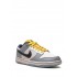 Dunk Low "North Carolina A&T" sneakers