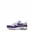 Air Max 1 SC "Field Purple" sneakers
