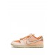 SB Dunk Low Pro PRM "Trocadero Gardens" sneakers
