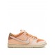 SB Dunk Low Pro PRM "Trocadero Gardens" sneakers