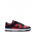 Dunk Low CO.JP "City Attack" sneakers