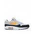 Air Max 1 "Pittsburg" sneakers