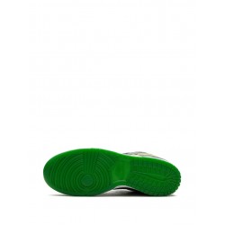 Dunk Low "What the Duck Away University of Oregon PE" sneakers