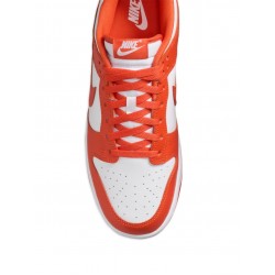 Dunk Low Retro sneakers