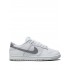 Dunk Low SE "Winter Storm" sneakers