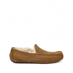 UGG Ascot slippers