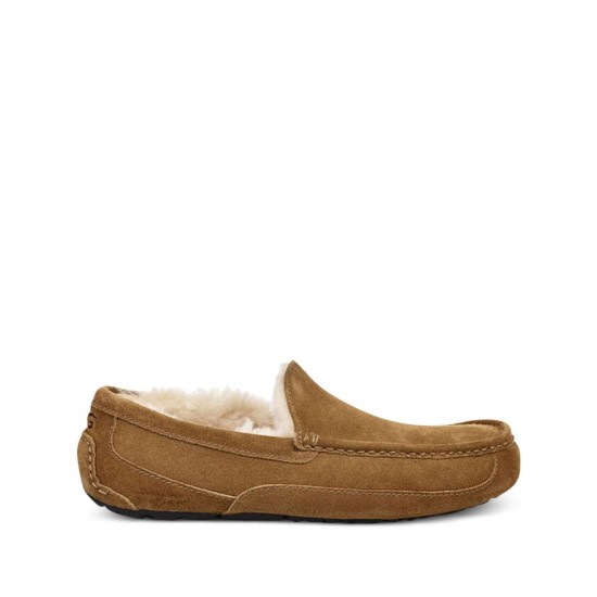 UGG Ascot slippers