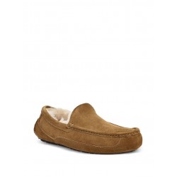 UGG Ascot slippers