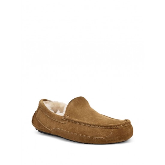 UGG Ascot slippers